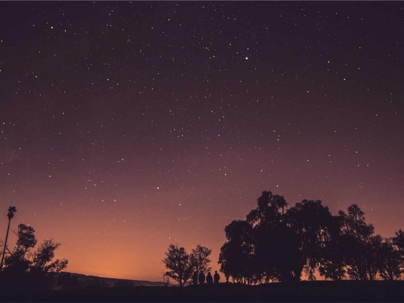 Graffiti on Park Wall